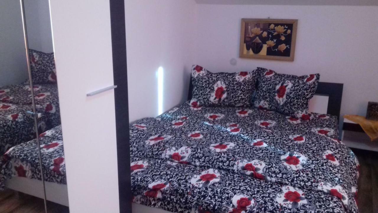 Casa Leonardo Hotell Haţeg Eksteriør bilde