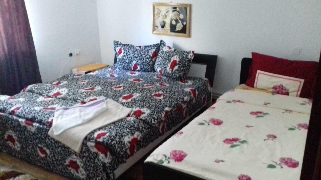 Casa Leonardo Hotell Haţeg Eksteriør bilde